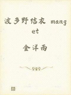 波多野结衣 manget